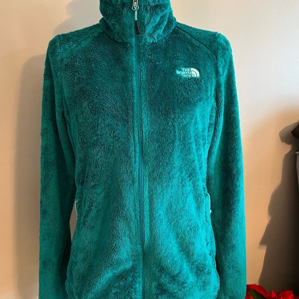 The North Face Blue Teddy Jacket Plush Fleece High Collar